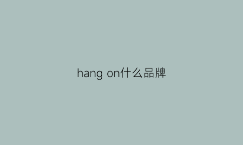 hangon什么品牌(hangsheng是什么牌子)